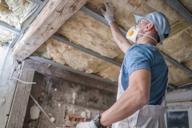 Best Eco-Friendly Insulation in Tompkinsville, KY