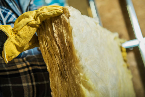 Best Specialized Insulation Services in Tompkinsville, KY